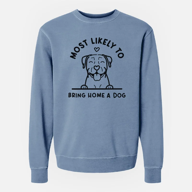 Most Likely to Bring Home a Dog - Pitbull - Unisex Pigment Dyed Crew Sweatshirt Graphic Hoodie Sweatshirt