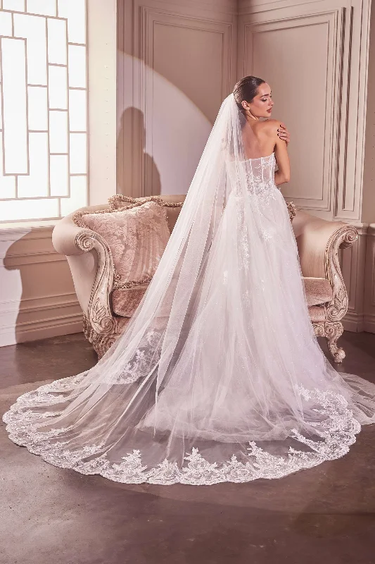 Embroidery Hem Lace Chapel Veil Full Skirt Gown