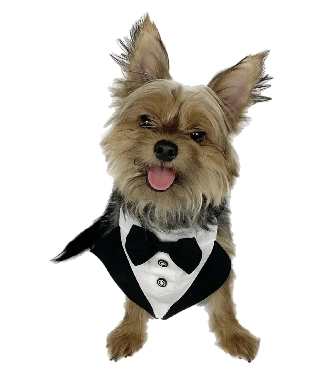 Pawpatu Black and White Tuxedo Bib for Pets Wrap unclassified dresses